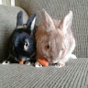 Meet your Posher, Leah